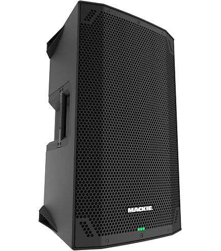 Amazon.com: Yamaha BR15 15-inch 2-Way Loudspeaker : Musical